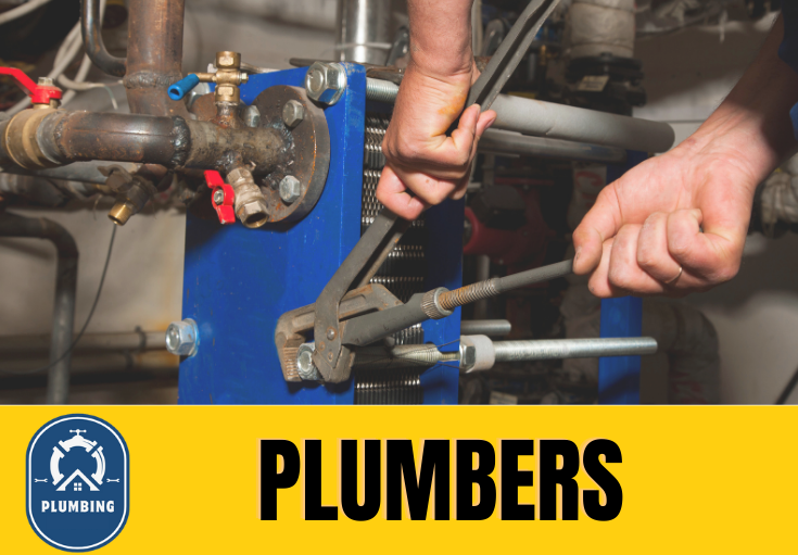  plumber Swalecliffe